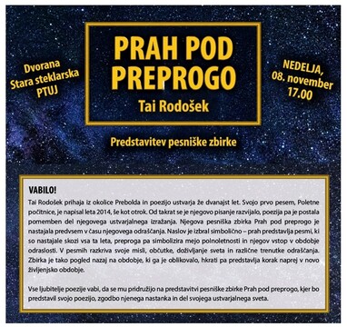 Tai Rodošek_Prah pod preprogo